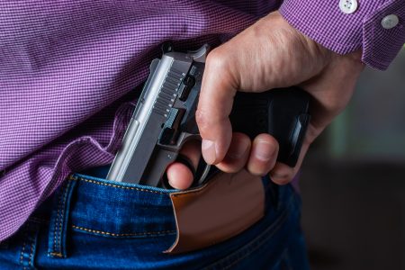 HB 4946: Who Could Lose the Right to Own Firearms Under the New Law?